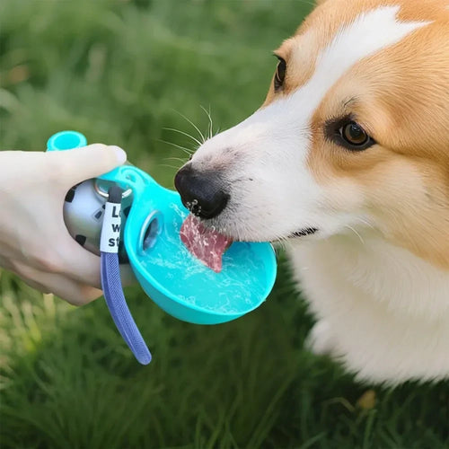 Portable Stainless Steel Dog Water Bottle